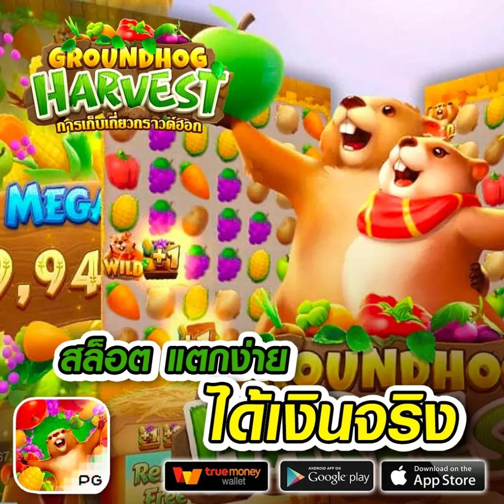 บ้านบลบอล คาสิโนอันดับ 1 คอยให้บริการเกมยอดนิยมตลอด 24 ชั่วโมง