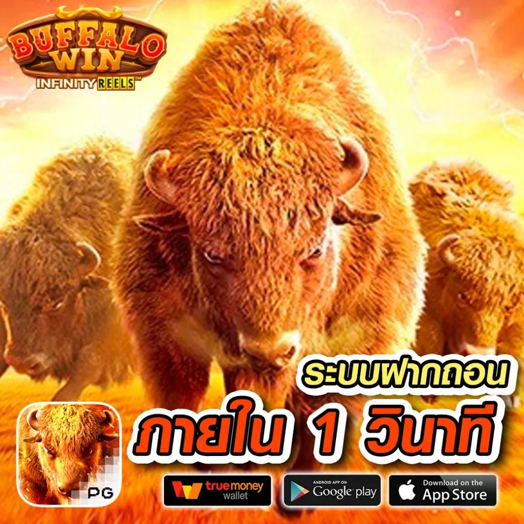 ราคาบอล8888 เว็บแทงบอลครบวงจร เดิมพันง่าย อัตราจ่ายสูงในไทย